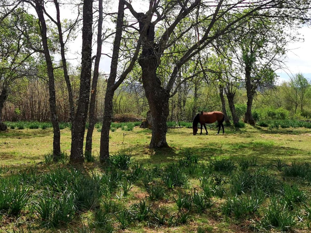 Acogedora Y Romantica Casita En La Sierra Garganta De Los Montes Bagian luar foto